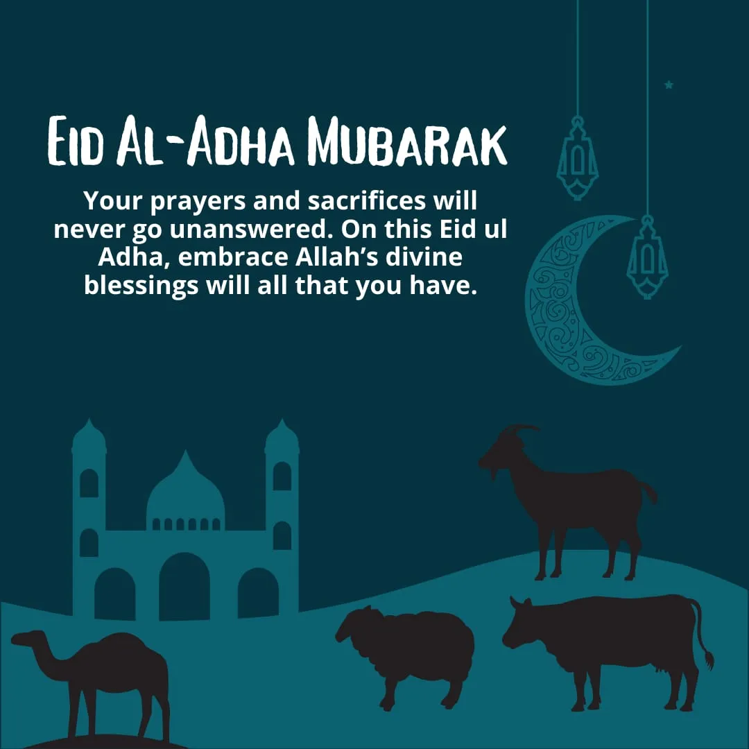 Eid Al-Adha Mubarak WhatsApp DP 2023