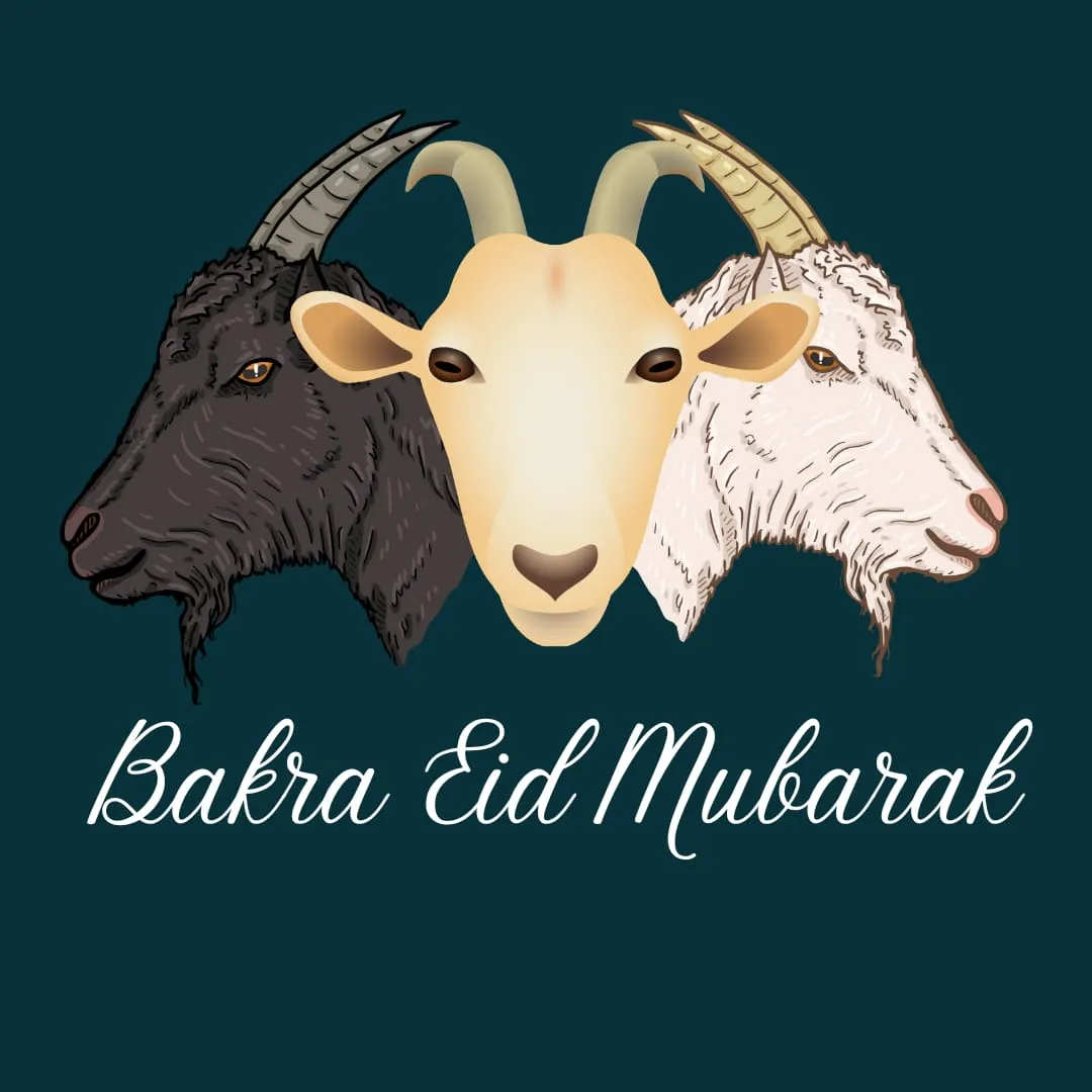 Bakra Eid Mubarak Images 